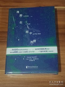 漫游在雨中池塘：布克奖得主的名校讲义·俄罗斯短篇经典精读（精装本）未拆封