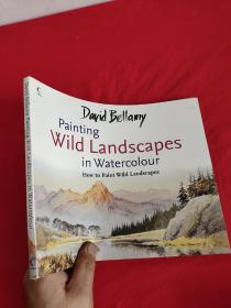 David Bellamy's Painting Wild Landscapes in Watercolour    （大16开） 【详见图】