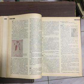 中国大百科全书 中国文学（I、II） 全二册 合售 精装见图