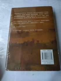 一个人的村庄（精装典藏版 刘亮程作品）感动8000万人，豆瓣万人8.9高分好评！面世二十余年来作者首次修订，白岩松、周深、李锐、李娟真情推荐