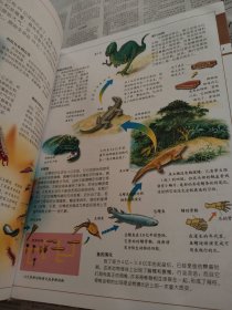 中国儿童百科全书，人类社会