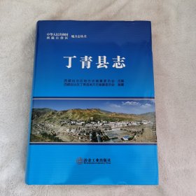 丁青县志