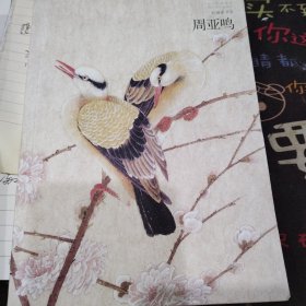 好画家书系周亚鸣