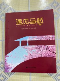 遇见马桥【江苏省靖江市马桥镇的人文风貌。全新、正版、仅拆封！】