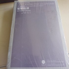 驾驭经济：英国与法国国家干预的政治学