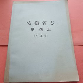 安徽省志 巢湖志【评议稿】