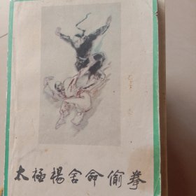 太极杨舍命偷拳