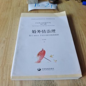 婚外情治理