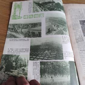 地理知识1976.2