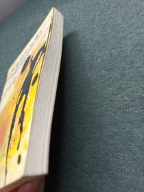 困惑的外交官一丑陋的美国人