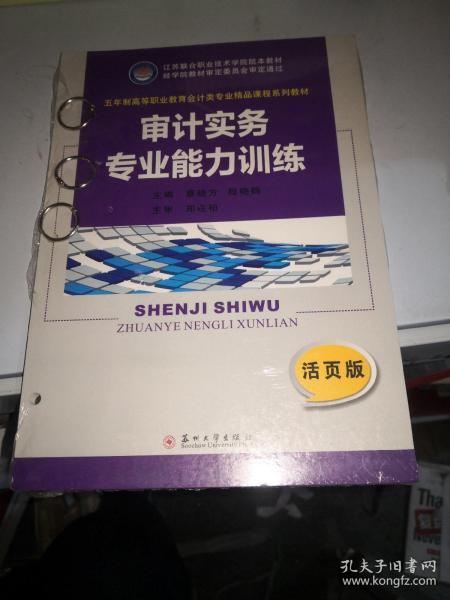 审计实务专业能力训练（活页版）