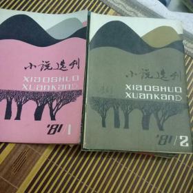 小说选刊81，82年