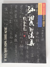 孙树民书法集