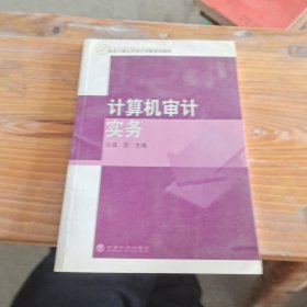 北京工商大学会计实验系列教材：计算机审计实务