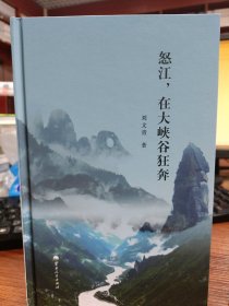 在大峽谷狂奔