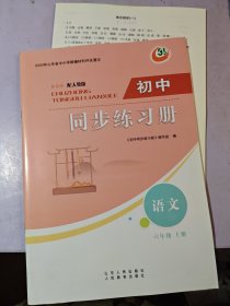 《初中同步练习册 语文六年级上册 人教版2023印