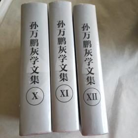 孙万鹏灰学文集（全三册）