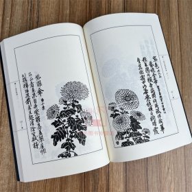 历代画谱类编菊全三册 历代画谱类编菊谱 菊花画谱