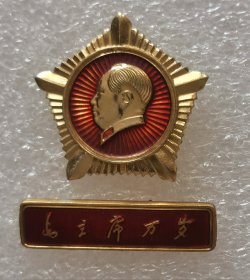 像章纪念章 星条 8202