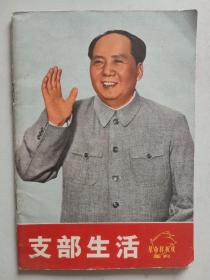 支部生活（革命样板戏画刊）...