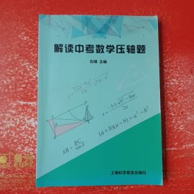 解读中考数学压轴题