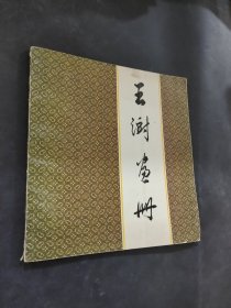 王澍画册
