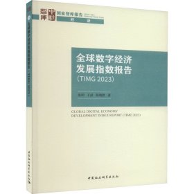 全球数字经济发展指数报告(TIMG2023)