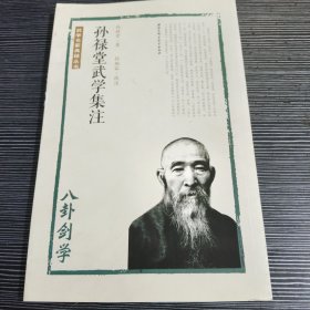 孙禄堂武学集注 八卦剑学