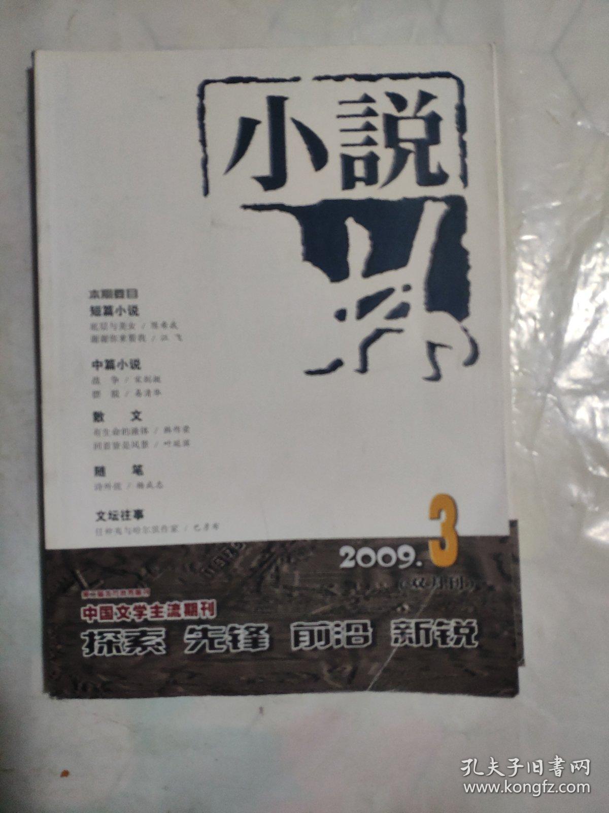 小说林2009 3