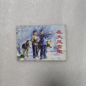 连环画：中国乡村故事——在大风雪里