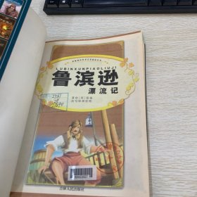 鲁滨逊漂流记