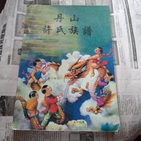 丹山许氏族谱 广东阳江.