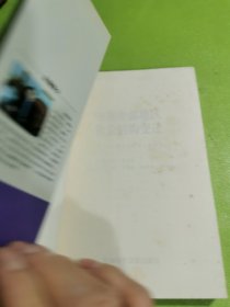 中国中部地区社会结构变迁：汉川市社会阶层个案分析