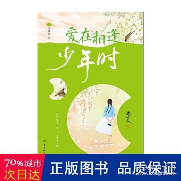 爱在相逢少年时：沈从文散文集（我们相爱一生，一生还是太短。沈从文诞辰120周年纪念版）