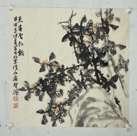 李智纲 1960年入南开大学，1962年转学天津美院，1966年毕业。师承著名画家李鹤筹、孙其峰等。著有《怎样画木本花卉》，《葡萄画法》，出版有《李智纲画集》，《中国当代书画名家精品系列李智纲专辑》、《中国画家李智纲》散文集《心境》。 国家一级美术师，中国美术家协会会员，中国画学研究会副会长，中国当代书画研究会名誉会长，河北省美术家协会常务理事，河北省花鸟画研究会副会长.