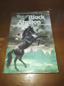 The Black Stallion F-3【黑神驹，沃尔特·法利，英文原版】内页干净。