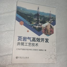 页岩气高效开发井筒工艺技术 能源科学 《页岩气高效开发井筒工艺技术》编委会 新华正版