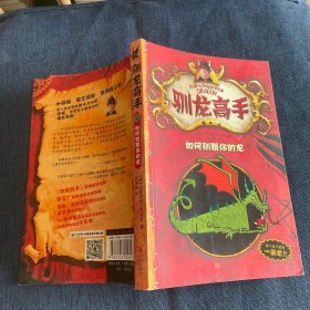 驯龙高手1：如何驯服你的龙
