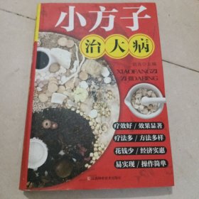 小方子治大病