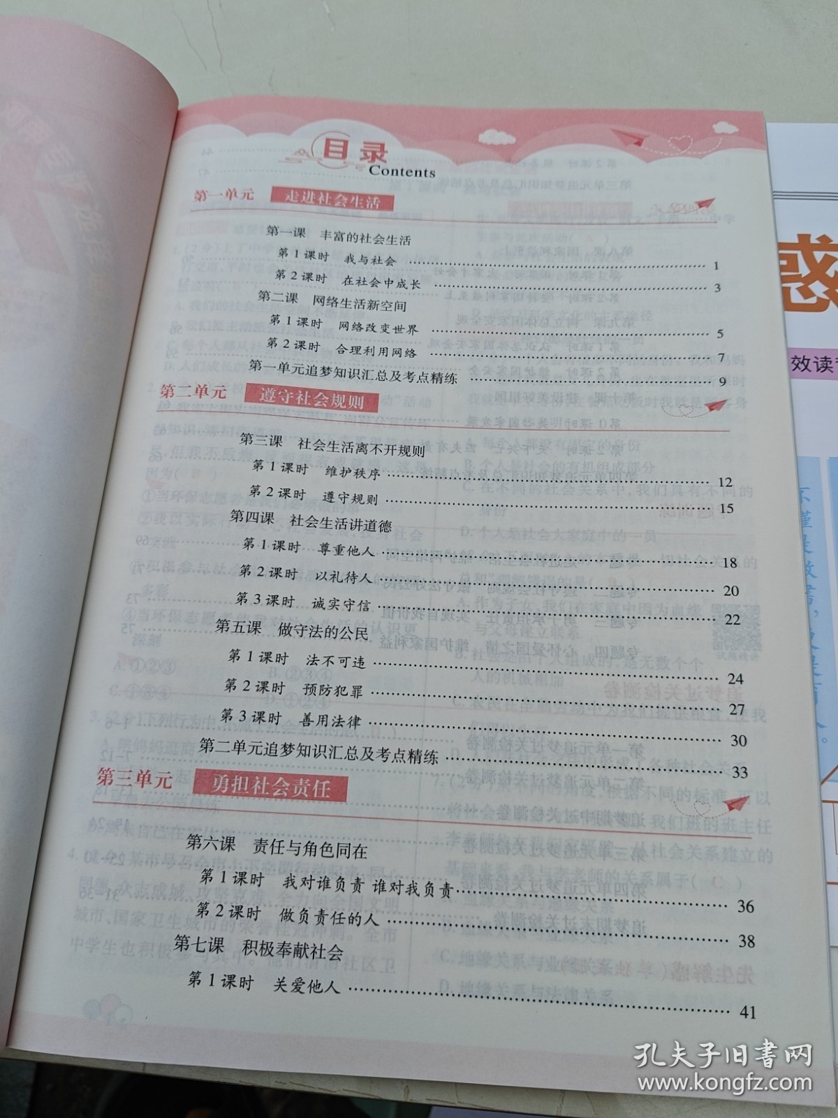 追梦之旅大先生道德与法治八年级上册RJ河南专版