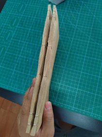 中医秘密，蝇头小楷中医手抄秘方医书