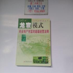 龙寰模式商业地产创富的超级经营法则——中国当代商业地间经典丛书