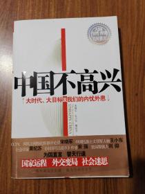 中国不高兴：大时代大目标及我们的内忧外患