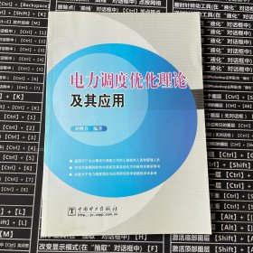 電力調(diào)度優(yōu)化理論及其應(yīng)用