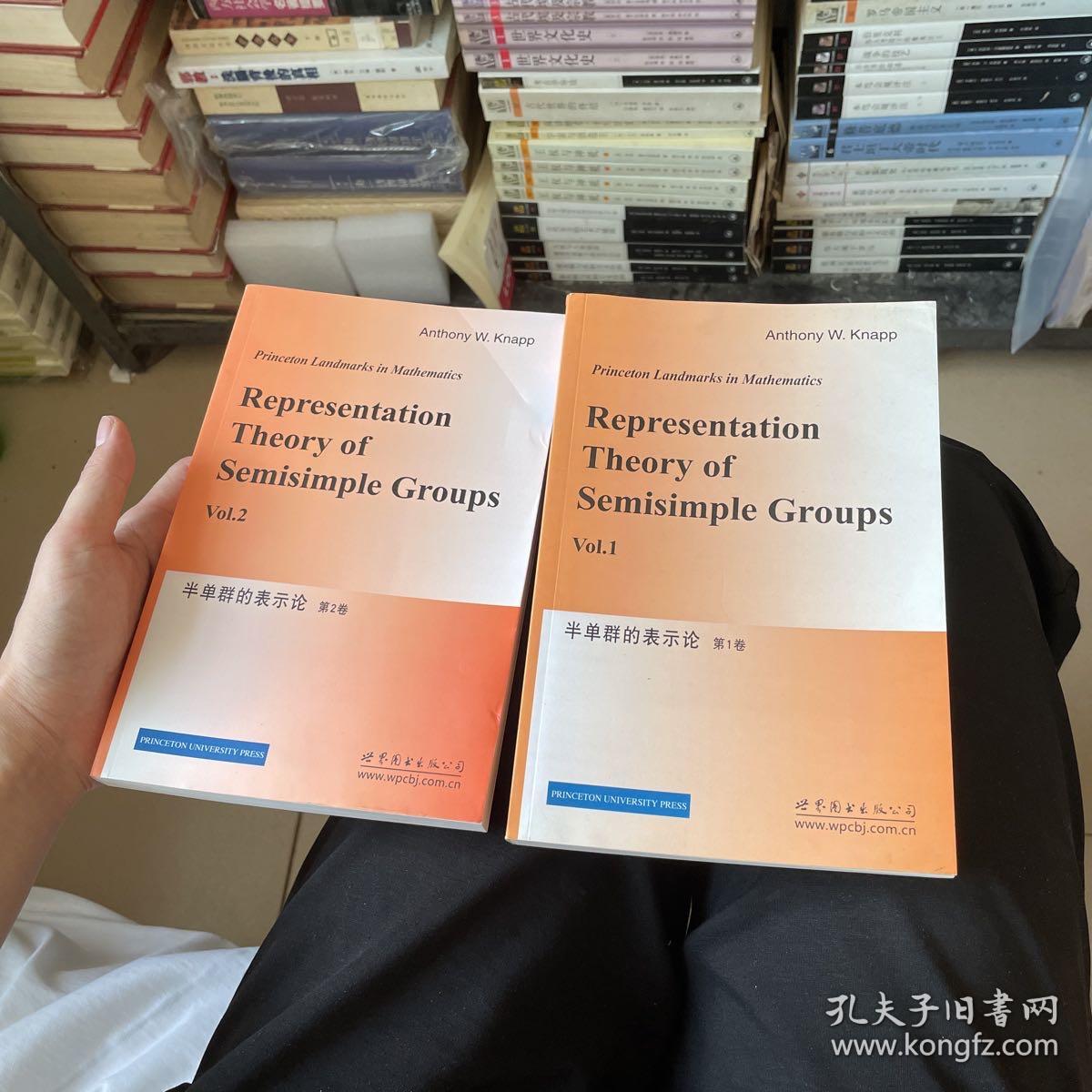 半单群的表示论（第12卷）全两册