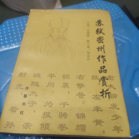 苏绒密州作品赏析