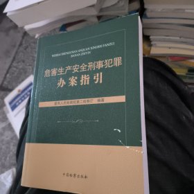 危害生产安全刑事犯罪办案指引