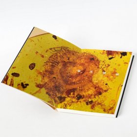 邢立达恐龙手记:琥珀篇