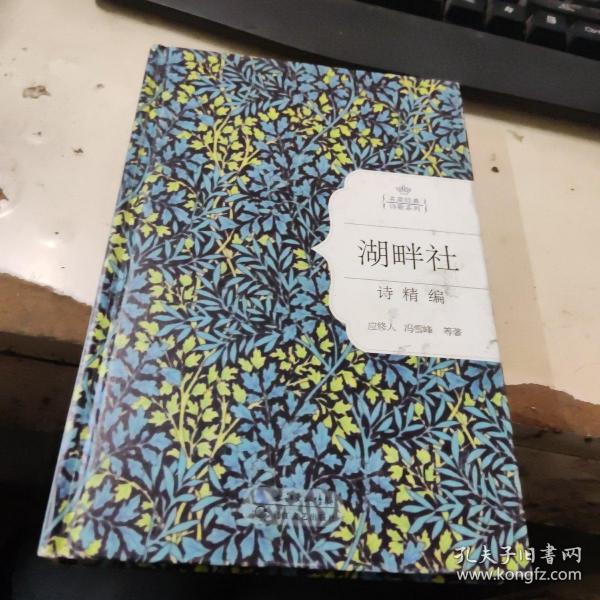 湖畔社诗精编（名家经典诗歌系列）