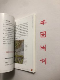 【正版现货，一版一印】浙南地区大棚番茄生产实用技术手册（图文版）设施越冬番茄产业是浙南地区最具区域优势、最有发展潜力的农业主导产业之一。据统计，浙南地区大棚越冬番茄现有栽培面积10万亩，总产量近50万吨，产值约12亿元，已成为浙南地区农业增效、农民增收的新举措。广大菜农依靠科技发家致富的要求十分迫切，非常需要通俗易懂的图书以指导其选良种、育好苗、用好肥、施准药、保好温、点好花，品相好，实用性强